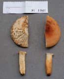 Lactarius volemus image